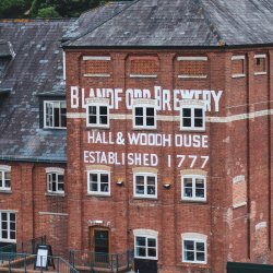 Hall & Woodhouse enjoys profitable year